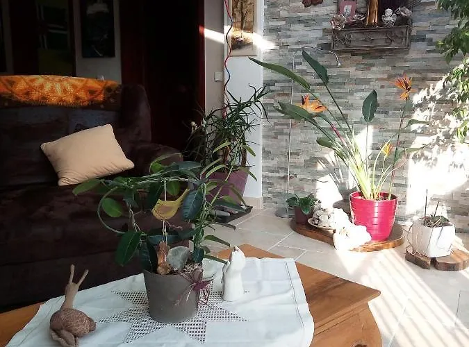 Silence Mit - 2 * 巴特明斯特艾弗尔